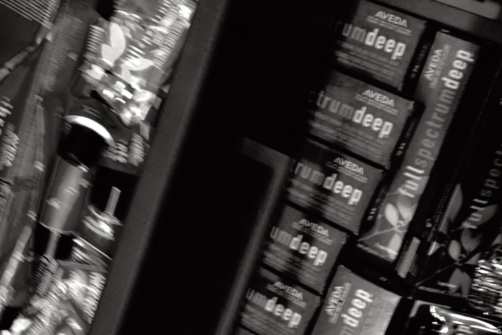 Professional hair coloring service in Wendell NC at Menagerie Style House salon